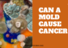Can Mold Cause Cancer: Separating Fact from Fiction Can Mold Cause Cancer