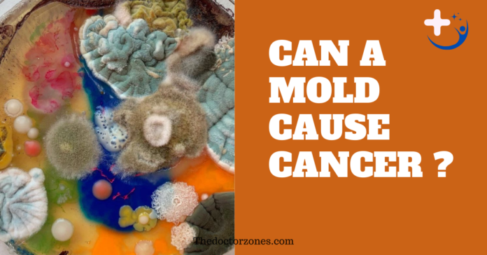 Can Mold Cause Cancer