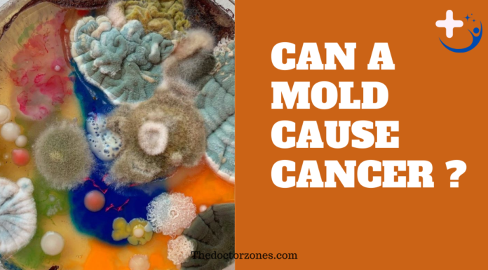 Can Mold Cause Cancer: Separating Fact from Fiction Can Mold Cause Cancer
