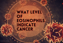 What Level Of Eosinophils Indicate Cancer What Level Of Eosinophils Indicate Cancer