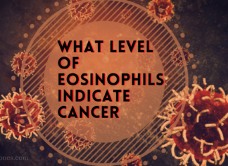 What Level Of Eosinophils Indicate Cancer What Level Of Eosinophils Indicate Cancer