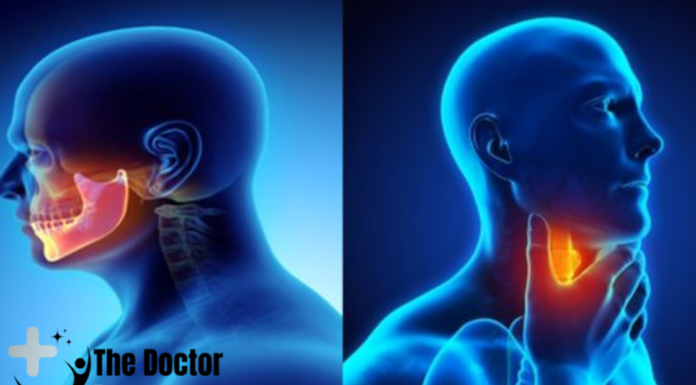 Head and Neck Cancer Treatment: Navigating the Path to Recovery Head and Neck Cancer Treatment