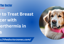 How to Treat Breast Cancer with Hyperthermia in Dogs How to Treat Breast Cancer with Hyperthermia in Dogs