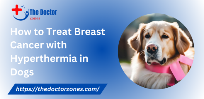 How to Treat Breast Cancer with Hyperthermia in Dogs