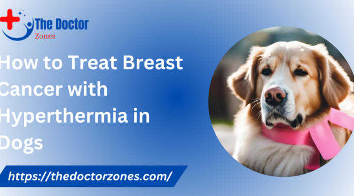 How to Treat Breast Cancer with Hyperthermia in Dogs How to Treat Breast Cancer with Hyperthermia in Dogs