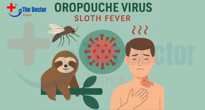 Oropouche Virus Sloth Fever